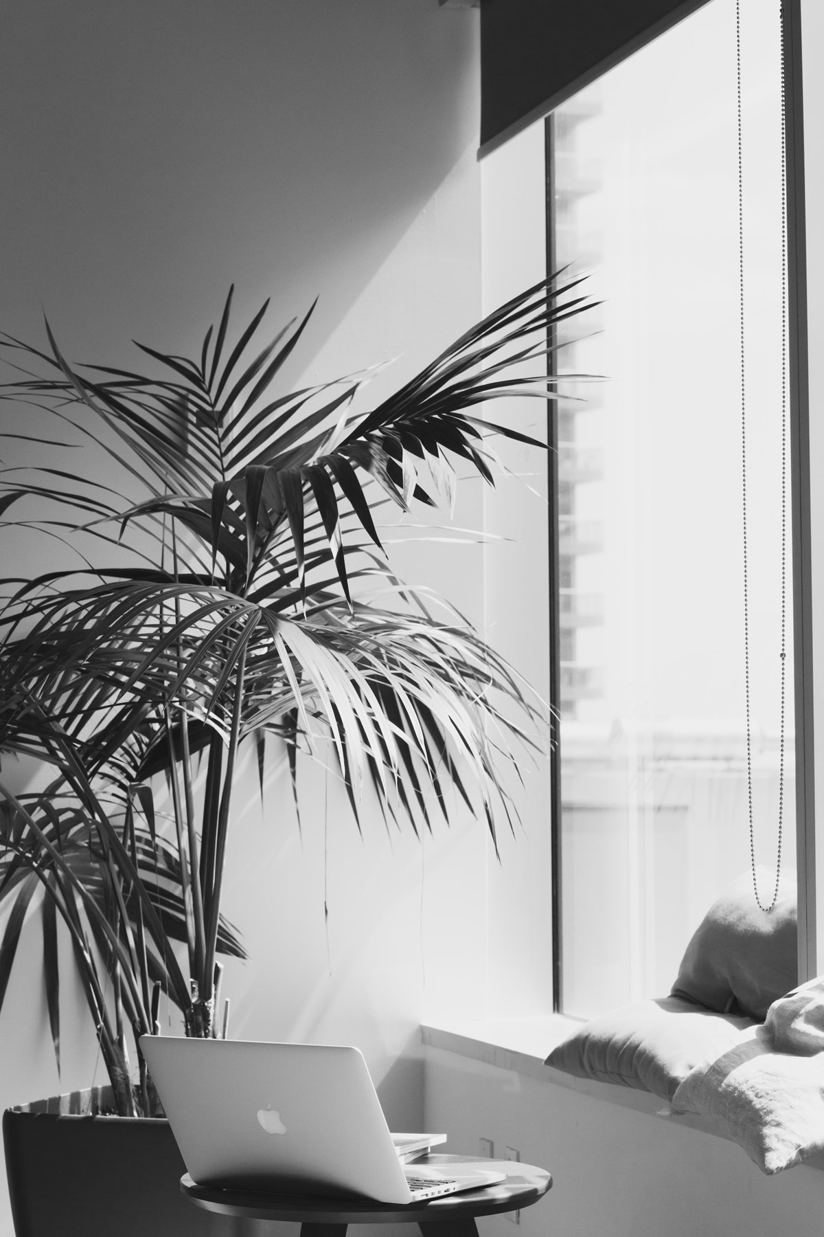 alesia-kazantceva-E8dAbseeFLo-unsplash