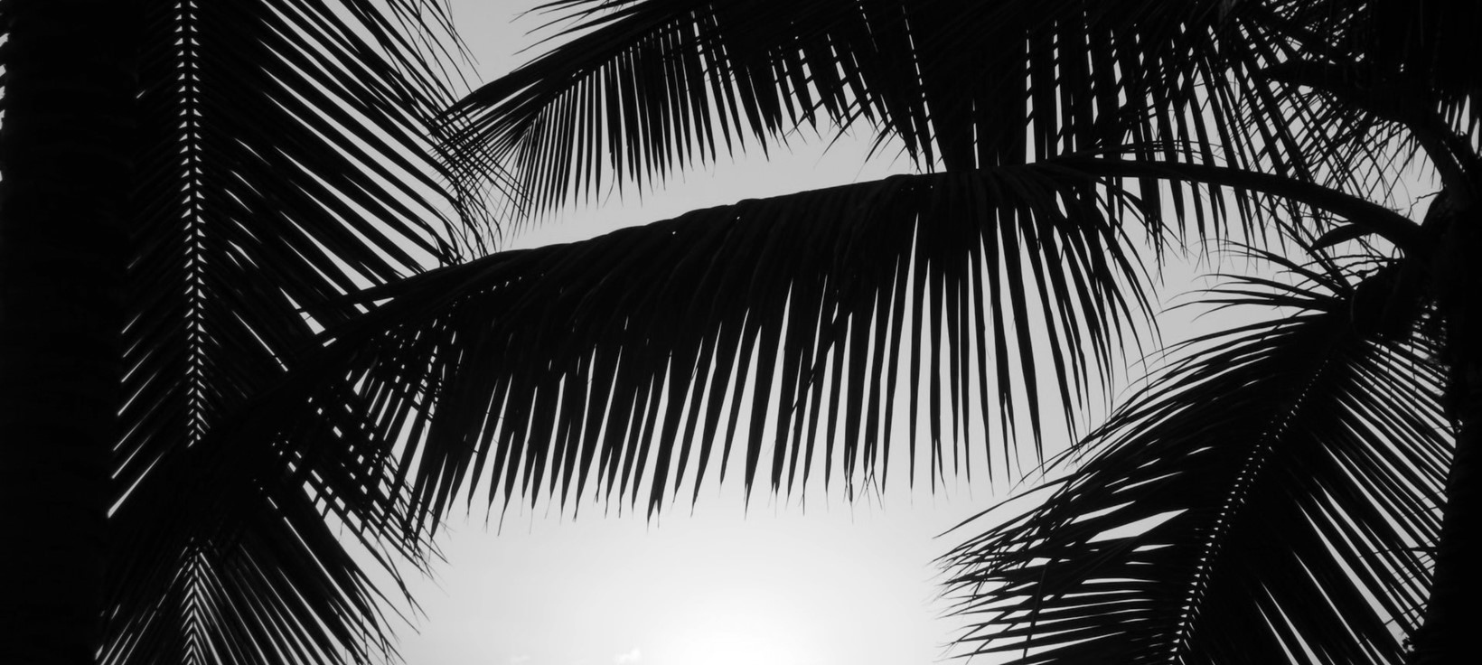 xavier-coiffic-gOc3VRa-eas-unsplash