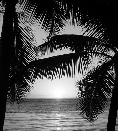 xavier-coiffic-gOc3VRa-eas-unsplash