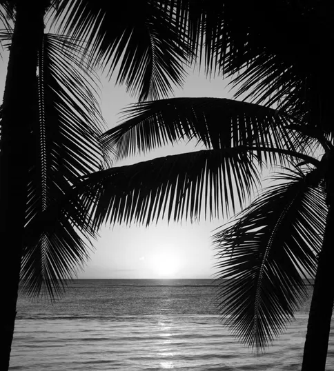 xavier-coiffic-gOc3VRa-eas-unsplash